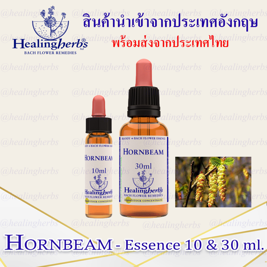 (Hornbeam) Bach Flower Essence (droppler) ขนาด 10 ml. หรือ 30 ml. ของแท้ 100% ***พร้อมส่งในไทย***