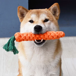 KTCAT🥕แครอทเชือก เชือกกัดสุนัข🥕เชือกกัด ของเล่นสุนัข ของเล่นแมว ของเล่นน้องหมา เคียวมัน เคี้ยวเพลิน เชือกทอของเล่นถักมือ