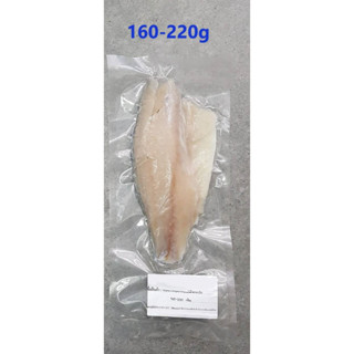 เนื้อปลากระพงแล่ติดหนัง (Fillet) ขนาด 160-220 กรัม