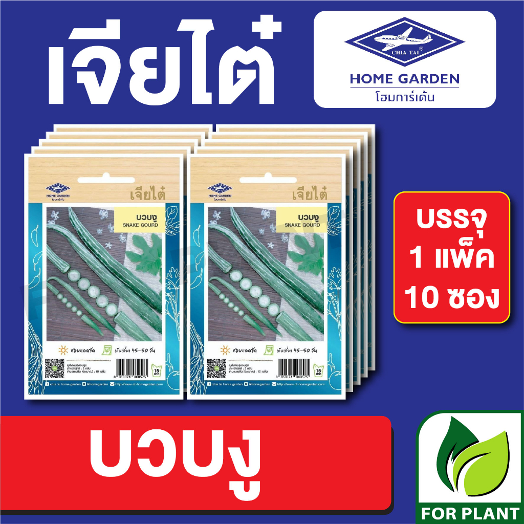 เมล็ดพันธุ์ ผักซอง บวบงู ตราเจียไต๋ CT15 บรรจุแพ็คล่ะ 10 ซอง ราคา 75 บาท