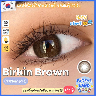 คอนแทคเลนส์ Birkin Brown (Kitty Kawaii) ขนาดกลาง 🌷 เนียน ธรรมชาติ ตากลมโตขึ้น