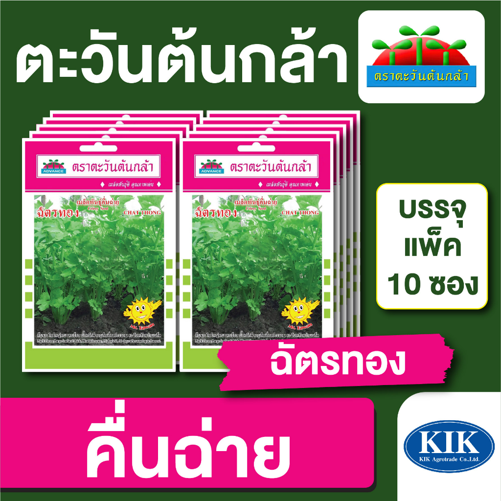 เมล็ดพันธุ์ ผักซอง ตะวันต้นกล้า SP คื่นฉ่ายฉัตรทอง บรรจุแพ็คละ 10 ซอง