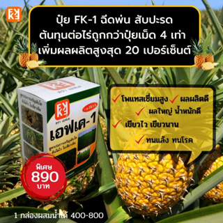 ปุ๋ย FK-1 ฉีดพ่น สับปะรด ผลใหญ่ ดกเต็มต้น น้ำหนักดี ต้นทุนต่อไร่ถูกกว่าปุ๋ยเม็ด 4 เท่า เพิ่มผลผลิตสูงสุด 20 เปอร์เซ็นต์