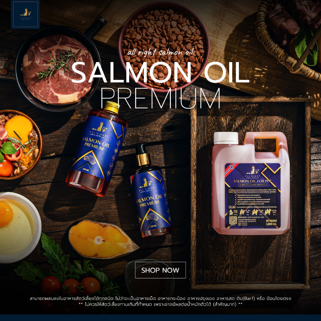 ALL RIGHT น้ำมันปลาแซลมอน สำหรับสัตว์เลี้ยง บำรุงขนผิวหนัง ช่วยเจริญอาหารสำหรับสุนัขและแมว SalmonOil