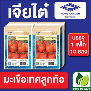 เมล็ดพันธุ์ ผักซอง มะเขือเทศลูกท้อ ตราเจียไต๋ บรรจุแพ็คล่ะ 10 ซอง ราคา 70 บาท