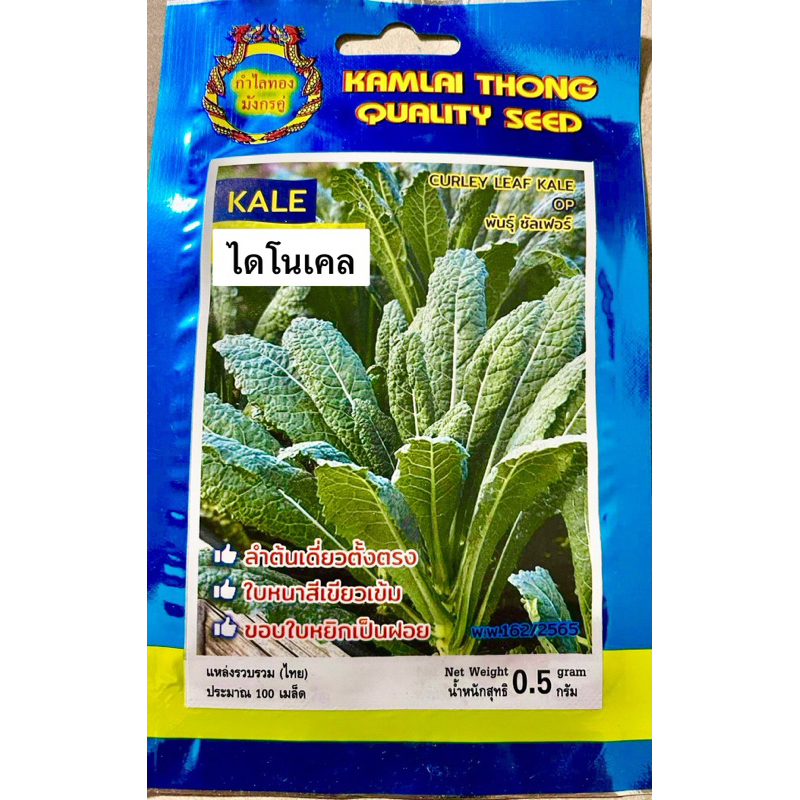 Kale เคล ไดโนเคล (100 เมล็ด) – โปรปัง