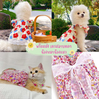 พร้อมส่ง🐶💕 เสื้อผ้าสัตว์เลี้ยง กระโปรงลายดอกไม้ เดรสลายดอกไม้ ชุดสงกรานต์ลายดอก สำหรับน้องหมา และน้องแมว