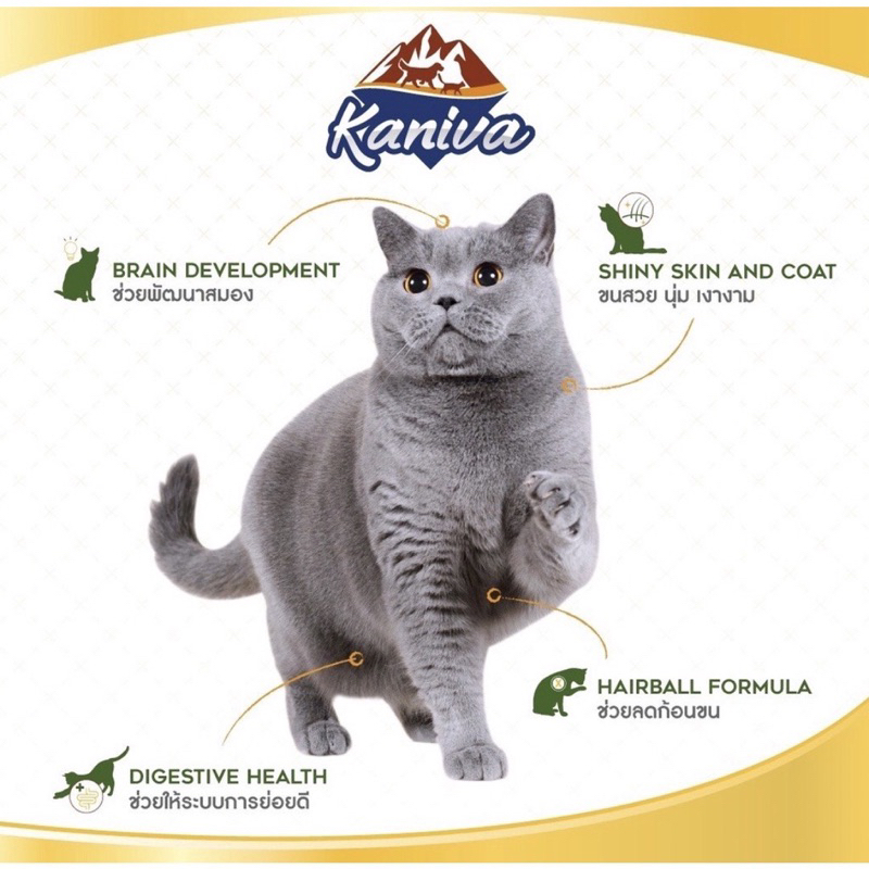 รูปภาพ 5