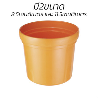 กระถางต้นไม้มงคล กระถางต้นแคคตัส Plastic flowerpot ขนาด 8.5ซม. 11.5ซม.  สำหรับปลูกต้นกระบองเพชร ต้นไม้แคระ realmart