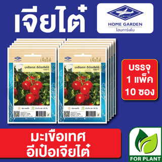 เมล็ดพันธุ์ ผักซอง มะเขือเทศอีเป๋อ เจียไต๋ บรรจุแพ็คล่ะ 10 ซอง ราคา 70 บาท