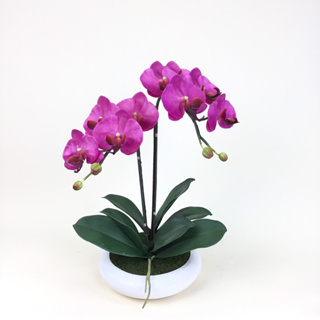 OrientalFineArt ดอกกล้วยไม้ประดิษฐ์ Phalaenopsis orchid plant pot arrangement(ARMC-57049-W F17)