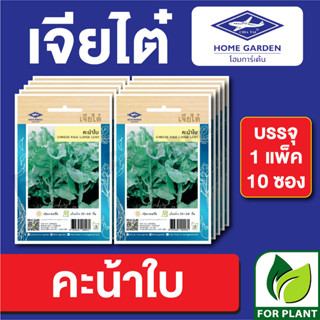 เมล็ดพันธุ์ ผักซอง คะน้าใบ ตราเจียไต๋ บรรจุแพ็คล่ะ 10 ซอง ราคา 70 บาท