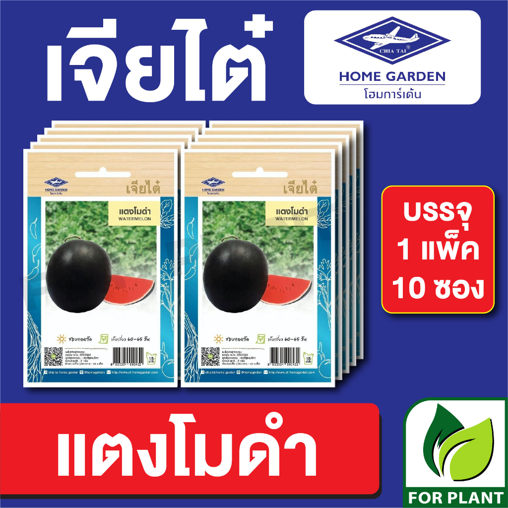 เมล็ดพันธุ์ ผักซอง แตงโมดำ ตราเจียไต๋ CT15 บรรจุแพ็คล่ะ 10 ซอง ราคา 75 บาท