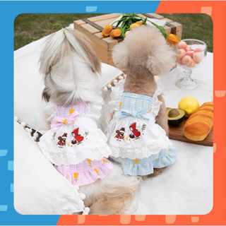 [🚚 พร้อมส่ง] ชุดกระโปรงสัตว์เลี้ยง Little Red Riding Hood Dress ชุดกระโปรงแมว หนูน้อยหมวกแดง