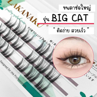 ขนตาปลอม ขนตาช่อ รุ่น ช่อใหญ่ Big cat