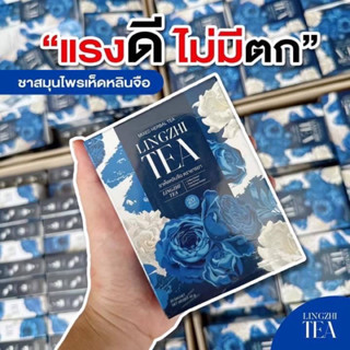 ชาเห็ดหลินจือ ชากระชับรัก LINGZHI TEA