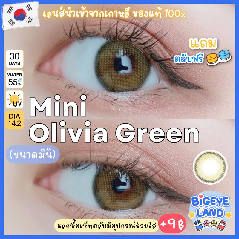 ซื้อ คอนแทคเลนส์ Mini Olivia Green / Black (Kitty Kawaii) ขนาดมินิ 🌷