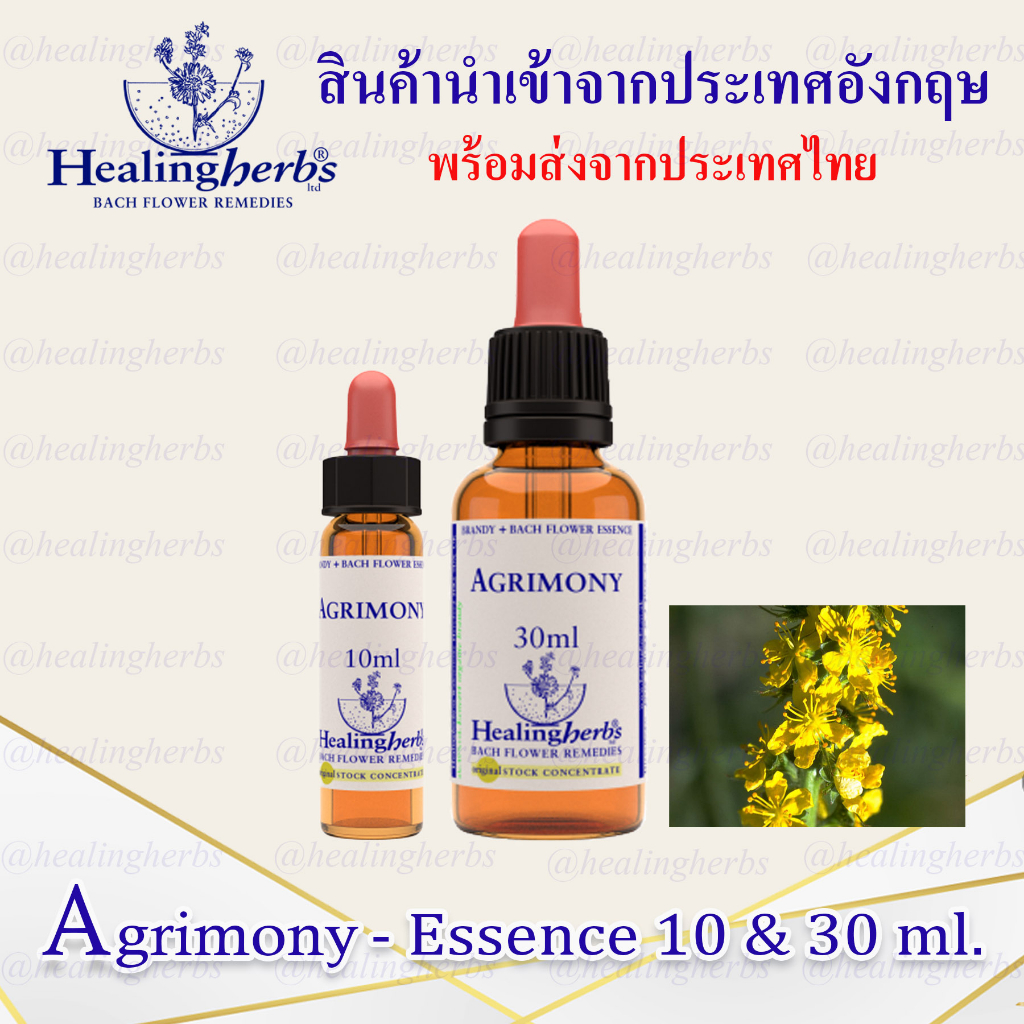 (Agrimony) Bach Flower Essence (droppler) ขนาด 10 ml. หรือ 30 ml. ของแท้ 100% ***พร้อมส่งในไทย***