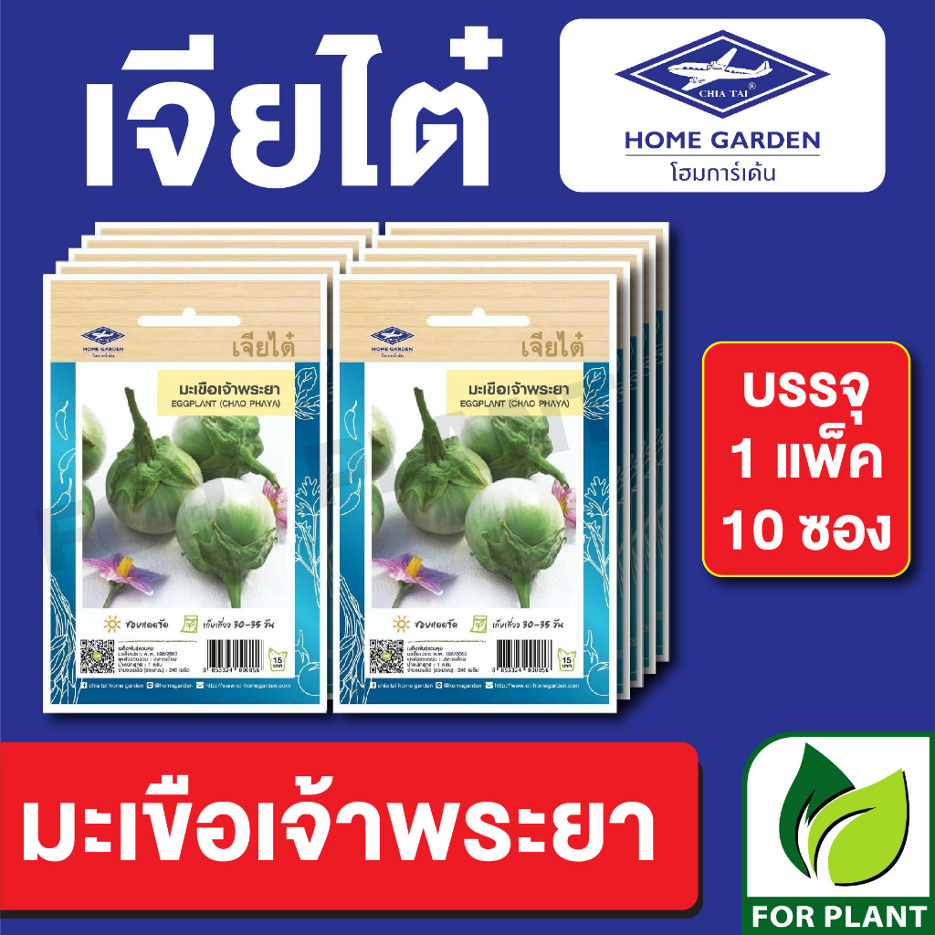 เมล็ดพันธุ์ ผักซอง มะเขือเจ้าพระยา ตราเจียไต๋ CT15 บรรจุแพ็คล่ะ 10 ซอง ราคา 75 บาท