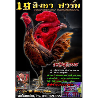 ไข่ไก่ชน ลูกเยียร์สุวรรณ แชมป์ 16 ล้าน 5 แสน รับประกันเชื้อ!!!(ส่งด่วน)