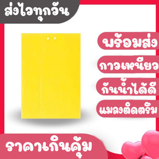 【ส่งไวทุกวัน】แผ่นกาวดักแมลง แพ็ค 10 แผ่น 10x20 ซม. เคลือบกาวแน่น กำจัดแมลงหลายชนิด แมลงหวี่ เพลี้ย และแมลงศัตรูพืช​ต่างๆ