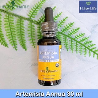 Herb Pharm - Artemisia Annua 30 ml โกฐจุฬาลัมพา อาร์เทมิเซีย