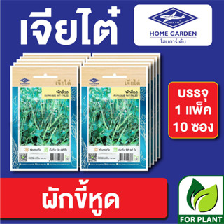 เมล็ดพันธุ์ ผักซอง ผักขี้หูด ตราเจียไต๋ บรรจุแพ็คล่ะ 10 ซอง ราคา 70 บาท