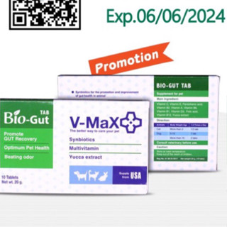 V-Max biogut อาหารเสริมปรับสมดุลลำไส้ในสัตว์เลี้ยง