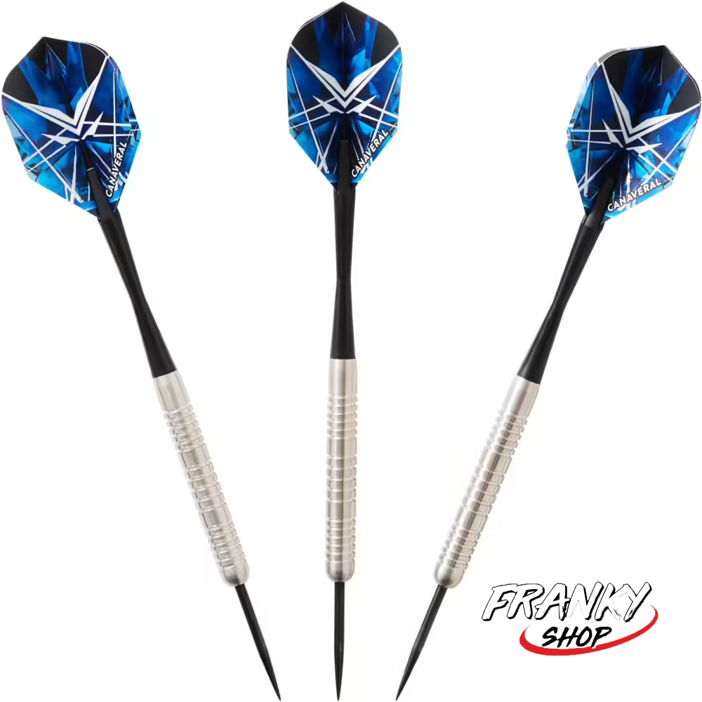 [พร้อมส่ง] ลูกดอกปลายเหล็ก ลูกดอกปาเป้าปลายเหล็ก Darts Steel-Tip