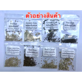 เมล็ดผักอินทรีย์เมล็ดผักสลัด 100-200 เมล็ด 10 บาท ถูกที่สุด [ซื้อ 10 แถม 1 คละได้]