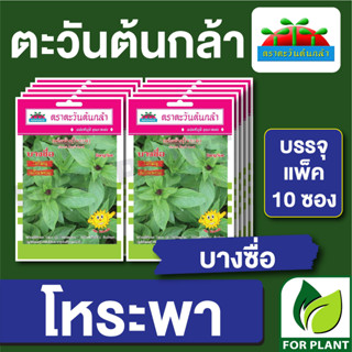 เมล็ดพันธุ์ ผักซอง โหระพา บางซื่อ ตราตะวันต้นกล้า บรรจุแพคล่ะ 10 ซอง ราคา 64 บาท