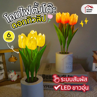 โคมไฟตั้งโต๊ะ รุ่น TULIP ดอกทิวลิป - โคมไฟตั้งโต๊ะ โคมไฟ LED โคมไฟมินิมอล ไฟตกแต่งห้อง แบบชาร์จ โคมไฟน่ารัก ดอกไม้