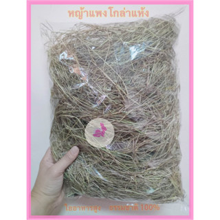 หญ้าแพงโกล่า ถูกที่สุด 10 บาท  หญ้าใหม่ หอมๆ ไม่ค้างสต็อค