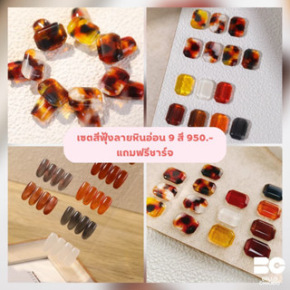 เซตสีฟรุ้งลายหินอ่อน 9 สี ฟรีชาร์จ เซตละ 950.-