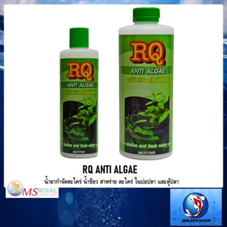 RQ ANTI ALGAE (น้ำยากำจัดตะไคร่ น้ำขียว สาหร่าย ตะไคร่ ในบ่อปลา และตู้ปลา)