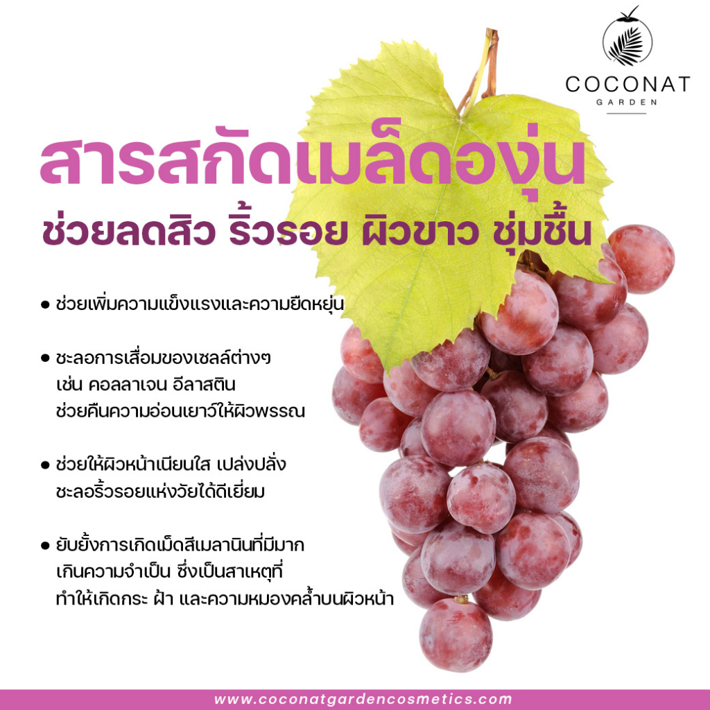 สบู่น้ำมันมะพร้าวสูตรองุ่นแดง ช่วยแก้ไขปัญหาฝ้า กระ จุดด่างดำ ไม่ใส่สารเคมี อ่อนโยน ไม่ทำให้ผิวแห้ง - รูปที่ 5