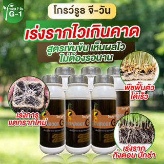 โปรพิเศษ 6 ขวด ยาเร่งราก พร้อมส่ง แบบผง Growroot-G1 เร่งราก เร่งใบ น้ำยาเร่งราก กระตุ้นการแตกใบอ่อน บำรุงราก ต้นสมบูรณ์