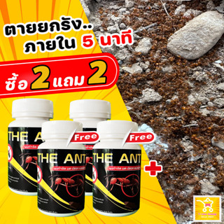 ลูกค้าใหม่ลดเพิ่ม 80.- (โปร 2 แถม 2) ได้ 4 กระปุก The Ant ผงกำจัด มด ปลวก แมลงสาบ สูตรตายยกรัง ภายใน 5 นาที