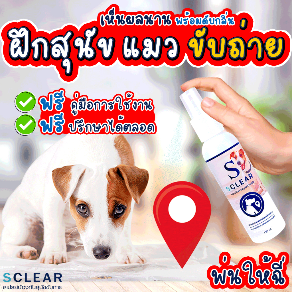 สเปรย์ฝึกสุนัขฉี่ SCLEAR ตัวช่วยที่ดีสำหรับเจ้าของ กำหนดจุดถ่าย ฝึกหมา ฝึกแมว ฝึกฉี่ สเปรย์ให้หมาฉี่