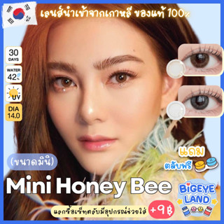 คอนแทคเลนส์ Mini Honey Bee Brown / Gray (Luxzy) ขนาดมินิ 🦋