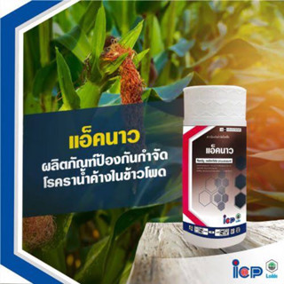 แอ็คนาว #คลอโรทาโลนิล 50% W/V SC -1ลิตร