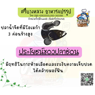 ปลาช่อนไร้ก้างแดดเดียว ขนาด 3-4ตัวโล