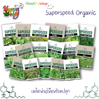 รวมสมุนไพร เมล็ด Rosemary Thyme Peppermint ออริกาโน่ Spearmint Lemonbalm Catnip Lavender Chamomile ชาแมว แคทนิป