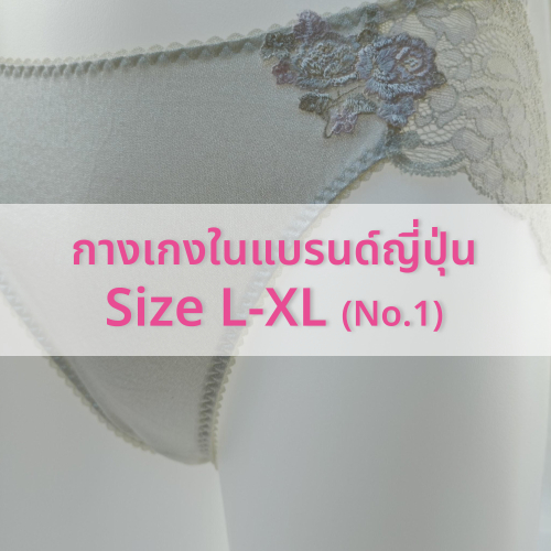 (No.1) กางเกงในญี่ปุ่น ไซส์ L-XL งานแบรนด์ญี่ปุ่นแท้💯 Wacoal Triumph tutu anna aimerfeel👙✨