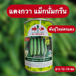 (ของแท้ ส่งไว) แตงกวา แม็กนั่มกรีน 100 กรัม ตัวใหม่ล่าสุดจากศรแดง