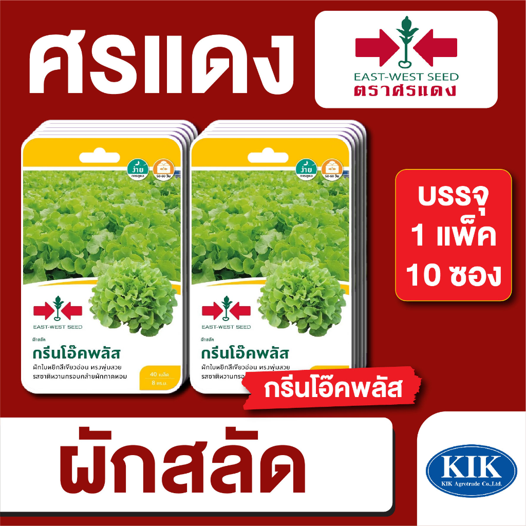 เมล็ดพันธุ์ ผักซอง ศรแดง ผักสลัดกรีนโอ๊คพลัส F1 บรรจุแพ็คละ 10 ซอง