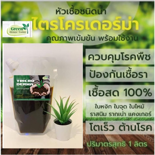 ไตรโคเดอร์มา ชนิดน้ำ กำจัดโรครากเน่า โคนเน่า ใบหงิก แคงเกอร์ ใบจุด แบบอินทรีย์ สำหรับต้นไม้ ผัก ผลไม้ [1000มล.]