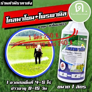 โคลมาโซน + โพรพานิล 1 ลิตร ยาคุม+ฆ่า ยกลัง 240฿  กำจัดหญ้าวข้าวนก หญ้าดอกขาว หญ้าแดง หญ้ากระดูกไก่ ตายทุกหญ้า