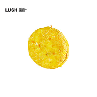 LUSH แชมพูบาร์ แชมพูก้อน GODIVA SHAMPOO BAR