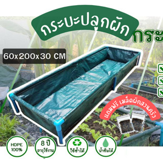 กะบะปลูกผัก แปลงปลูกผัก สำเร็จรูป พร้อมโครง PVC